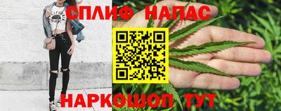 гидра Свободный